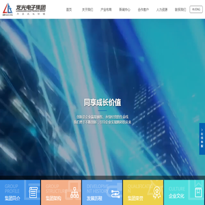 龙光电子集团有限公司