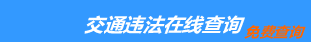 （手机版）石家庄交通违章查询